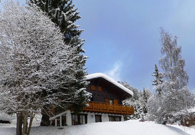 Chalet in Thyon-Les Collons - Chalet Datcha