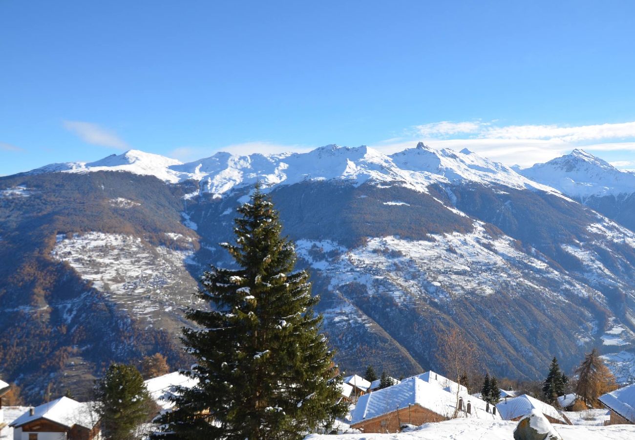 Studio in Thyon-Les Collons - Belvédère 82 B