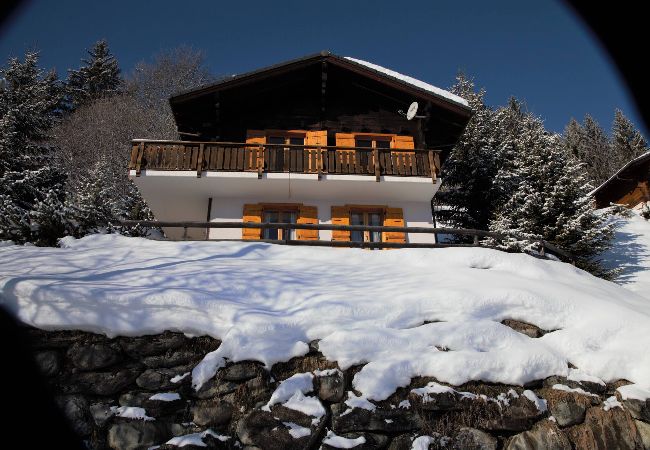 Chalet in Hérémence - Chalet Santé