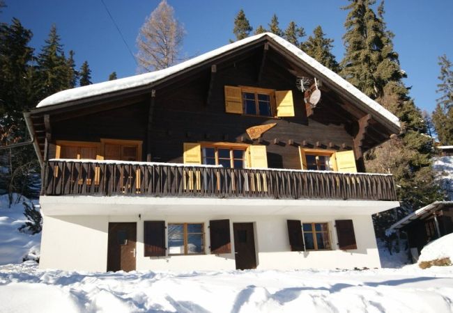 Chalet in Thyon-Les Collons - Chalet Les Rhodos