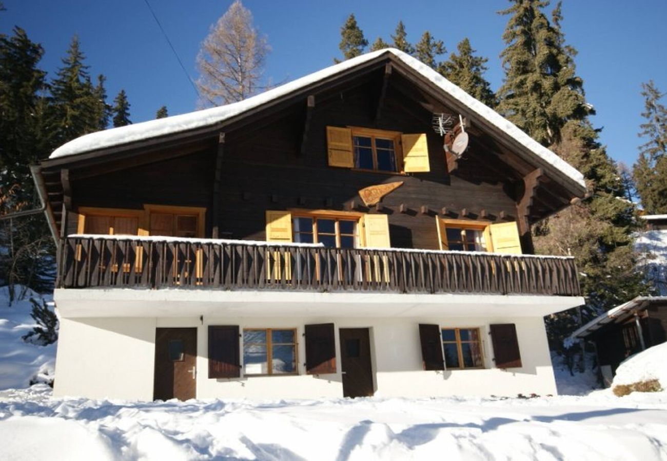 Chalet in Thyon-Les Collons - Chalet Les Rhodos