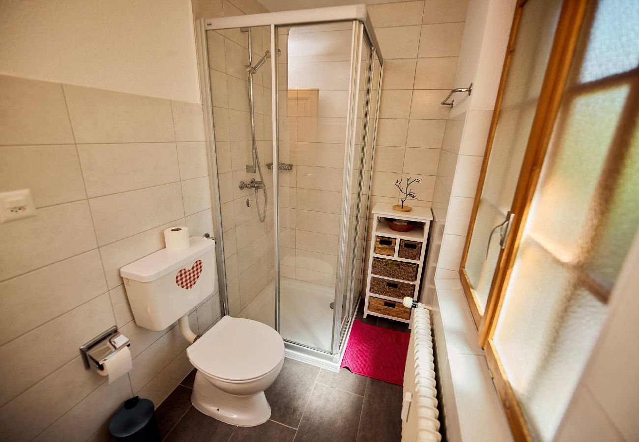Apartment in Thyon-Les Collons - Crêtes C - Adèle