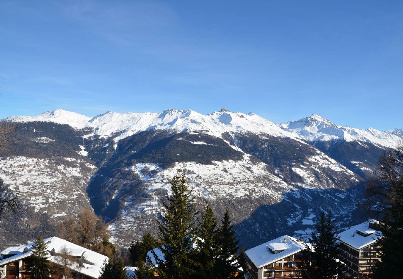 Apartment in Thyon-Les Collons - Cervin 17 C