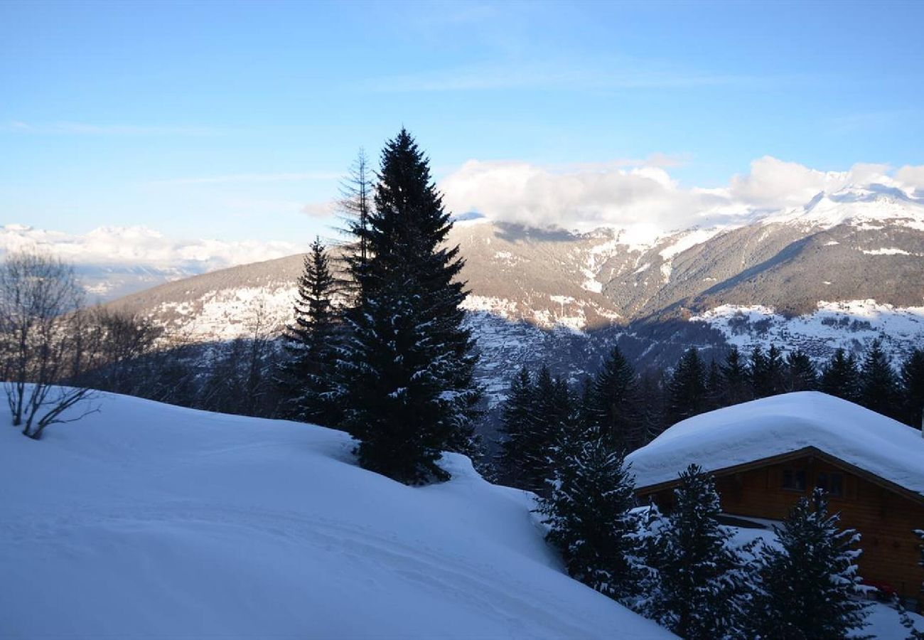 Appartement à Thyon-Les Collons - Panorama 59